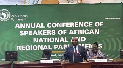 13ª Conferência do Parlamento Pan-africano - DR