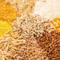 Mais de 900 mil toneladas de cereais produzidas no Huambo em 2024
