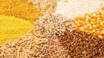 Mais de 900 mil toneladas de cereais produzidas no Huambo em 2024 - DR