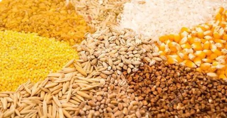 Mais de 900 mil toneladas de cereais produzidas no Huambo em 2024