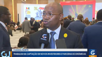 Rede Girassol - Rede Girassol