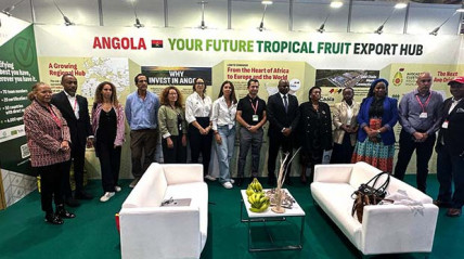 Delegação angolana na Feira Internacional Fruit em Espanha - DR