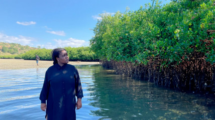 Ambientalista e fundadora do projecto Otchiva, Fernanda Renée Samuel - Cedida