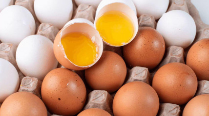 Angola exporta ovos fertilizados para o Uganda - DR