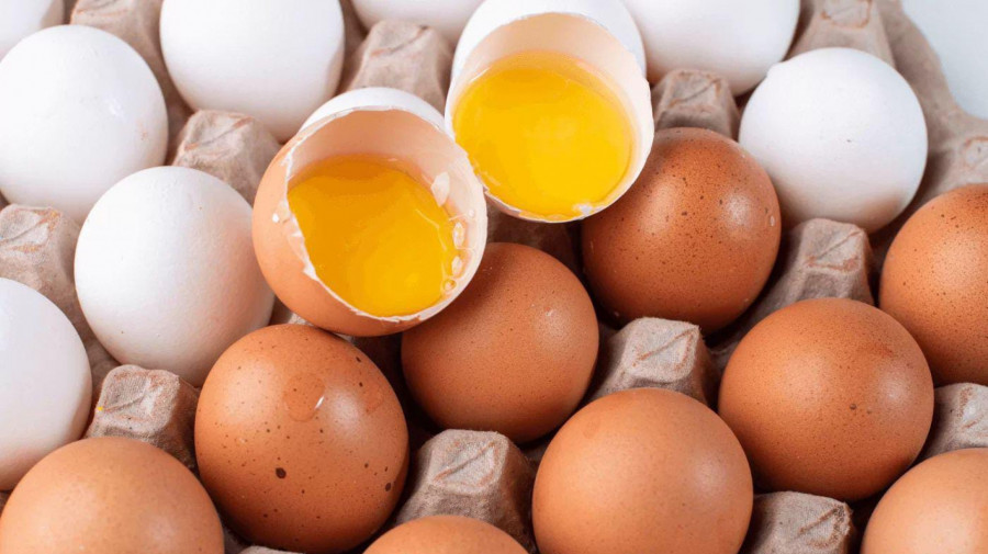 Angola exporta ovos fertilizados para o Uganda