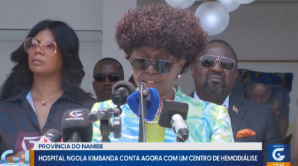 Rede Girassol - Rede Girassol