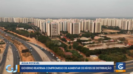 Rede Girassol - Rede Girassol