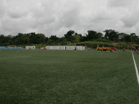 Campo relvado (Arquivo) - DR