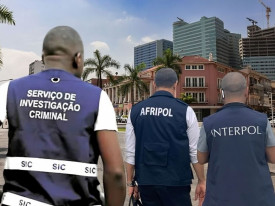 Interpol deteve 83 pessoas em Africa por financiamento ao terrorismo  - DR