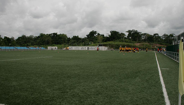 Campo relvado (Arquivo)