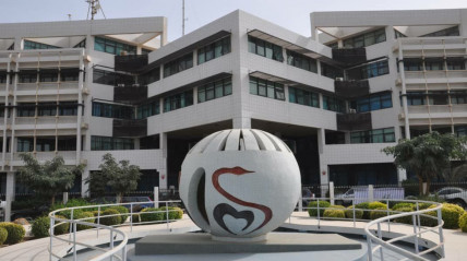 Senegal regista 25 mortes por febre do vale do Rift - DR