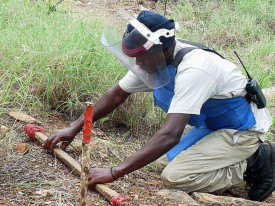 Desminagem em Angola - DR