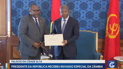 Rede Girassol - Rede Girassol