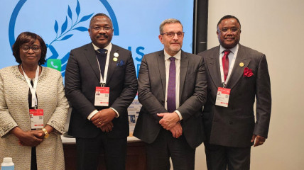 Deputados angolanos reúnem-se com parlamentar francês (2º dir.) - Site AN