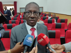 Director-adjunto do IRDP - Edições Novembro