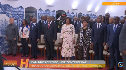 Rede Girassol - Rede Girassol