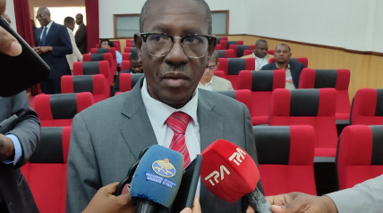 Director-adjunto do IRDP - Edições Novembro