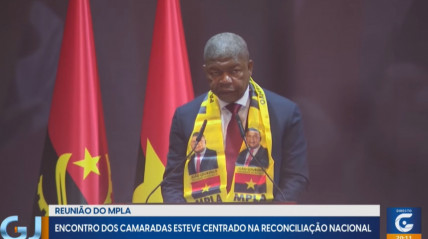 Rede Girassol - Rede Girassol