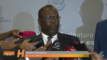 Rede Girassol - Rede Girassol