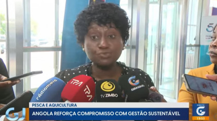 Rede Girassol - Rede Girassol