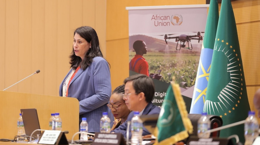 União Africana realiza Conferência sobre Agricultura Digital