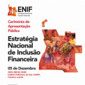 Estratégia Nacional de Inclusão Financeira