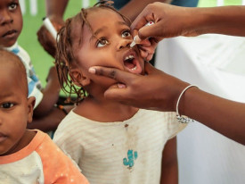 Angola e Zâmbia abordam sincronização das campanhas de vacinação - DR