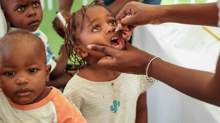 Angola e Zâmbia abordam sincronização das campanhas de vacinação