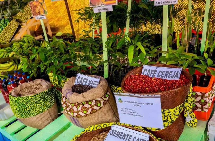 Feira de Cabinda movimenta cerca de 100 toneladas de produtos agr&iacute;colas