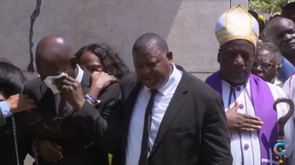 Rede Girassol - Rede Girassol