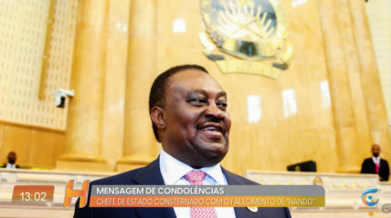 Rede Girassol - Rede Girassol