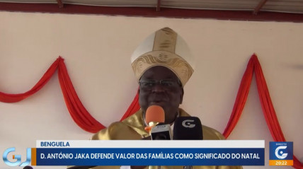 Rede Girassol - Rede Girassol