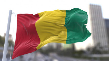 Bandeira da República da Guiné - DR