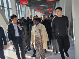 Ministra da sa&uacute;de na China  - DR