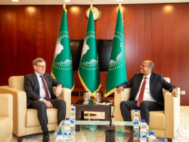Uni&atilde;o Africana reafirma import&acirc;ncia da parceria com Alemanha - DR