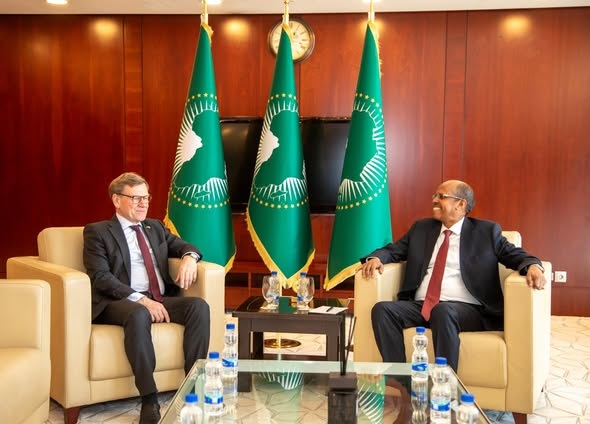 Uni&atilde;o Africana reafirma import&acirc;ncia da parceria com Alemanha