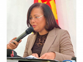 Ministra do Ambiente, Ana Paula de Carvalho, defende elimina&ccedil;&atilde;o de tintas com chumbo em Angola - DR