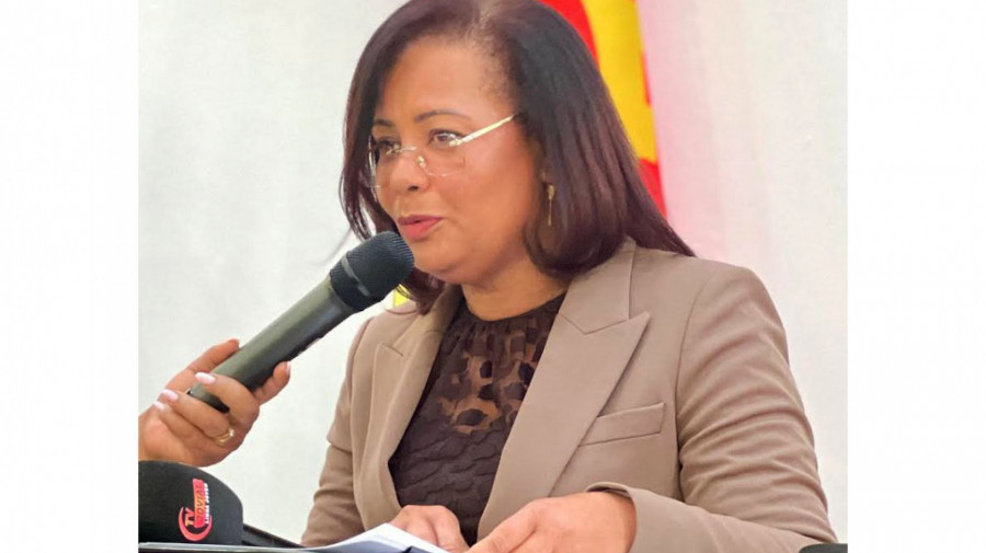 Ministra do Ambiente, Ana Paula de Carvalho, defende elimina&ccedil;&atilde;o de tintas com chumbo em Angola