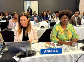 Delega&ccedil;&atilde;o angolana na Confer&ecirc;ncia da sa&uacute;de da ECSA-HC - DR