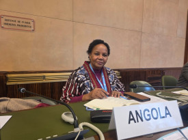 Representante permanente de Angola junto do Escrit&oacute;rio das Na&ccedil;&otilde;es Unidas, em Genebra, embaixadora Ana Maria de Oliveira, na reuni&atilde;o do Grupo Africano - Cedida