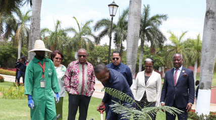 Presidente da Assembleia Nacional, Ad&atilde;o de Almeida, planta &aacute;rvore para saudar o Dia Nacional do Ambiente