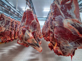 Stock de matadouro (Arquivo)  - DR