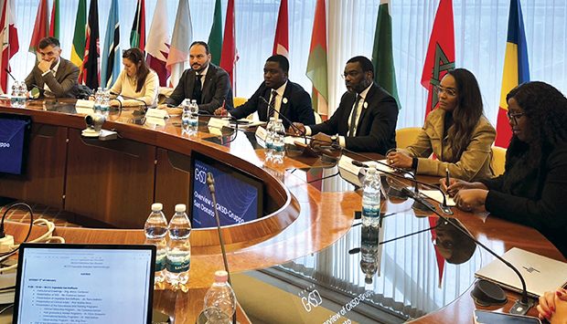 Delega&ccedil;&atilde;o da sa&uacute;de na It&aacute;lia 