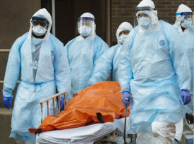 OMS apela a EUA para partilhar as informa&ccedil;&otilde;es que possui sobre Covid-19 - DR