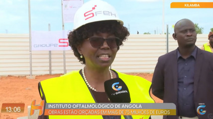 Rede Girassol - Rede Girassol