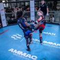 Respons&aacute;vel pede maior competitividade aos atletas de MMA
