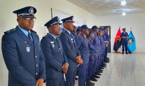 Efectivos da Pol&iacute;cia Nacional (Arquivo) - DR