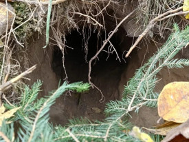 R&uacute;ssia acusada de enviar emigrantes para a Europa atrav&eacute;s de t&uacute;neis secretos - DR