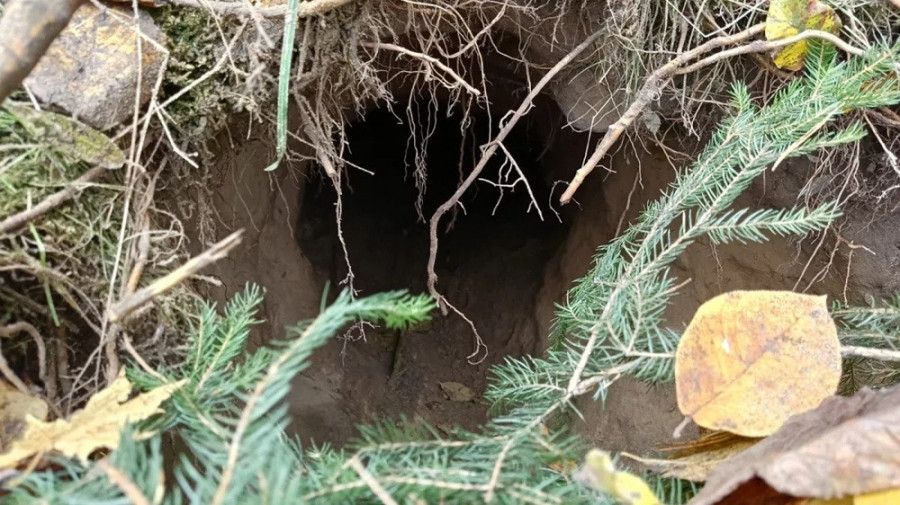 R&uacute;ssia acusada de enviar emigrantes para a Europa atrav&eacute;s de t&uacute;neis secretos