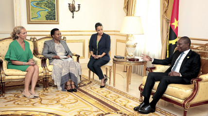 Presidente da Assembleia Nacional concede audiência - Edições Novembro